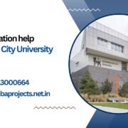 MBA dissertation help Birmingham City University (BCU) UK.mbaprojects.net.in