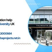 MBA dissertation help Falmouth University UK.mbaprojects.net.in