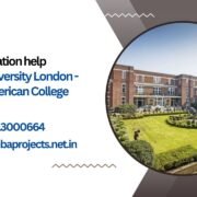 MBA dissertation help Regent's University London - Regent's American College London UK.mbaprojects.net.in