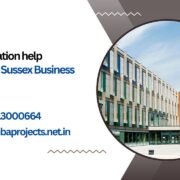 MBA dissertation help University of Sussex Business School UK.mbaprojects.net.in