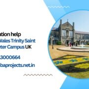 MBA dissertation help University of Wales Trinity Saint David - Lampeter Campus UK.mbaprojects.net.in