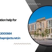 MBA dissertation help for ESMT Berlin.mbaprojects.net.in