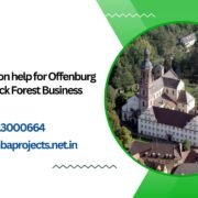 MBA dissertation help for Offenburg University - Black Forest Business School.mbaprojects.net.in