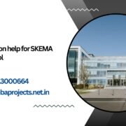 MBA dissertation help for SKEMA Business School.mbaprojects.net.in