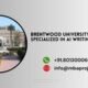 Brentwood University DBA Specialized in AI writing help