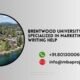 Brentwood University DBA Specialized in Marketing writing help