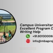 Campus Universitario Europeo Excellent Program DBA Writing Help