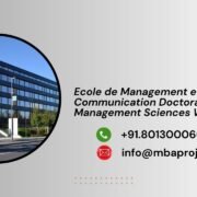 Ecole de Management et de Communication Doctorate in Management Sciences Writing Help