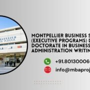 Montpellier Business School (Executive Programs) Digital Doctorate in Business Administration Writing Help