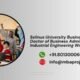 Selinus University Business School Doctor of Business Administration in Industrial Engineering Writing Help