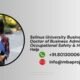 Selinus University Business School Doctor of Business Administration in Occupational Safety & Health Writing Help