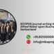 SCOPUS journal writing help in Alfred Nobel open Business School Switzerland