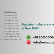 Plagiarism check services in New Delhi
