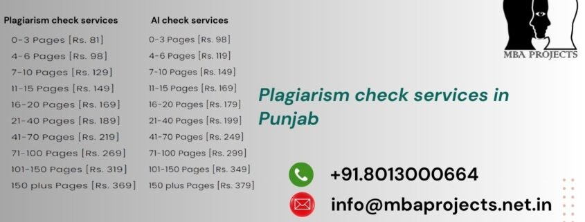 Plagiarism check services in Punjab