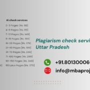 Plagiarism check services in Uttar Pradesh