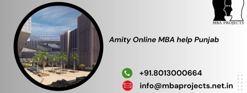 Amity Online MBA help Punjab