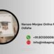 Narsee Monjee Online MBA help Odisha