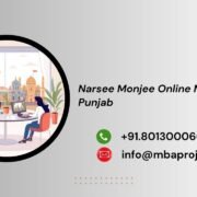 Narsee Monjee Online MBA help Punjab
